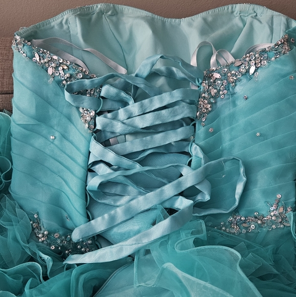 Quiencenera Dress, Prom or Ball Dress - Picture 11 of 14